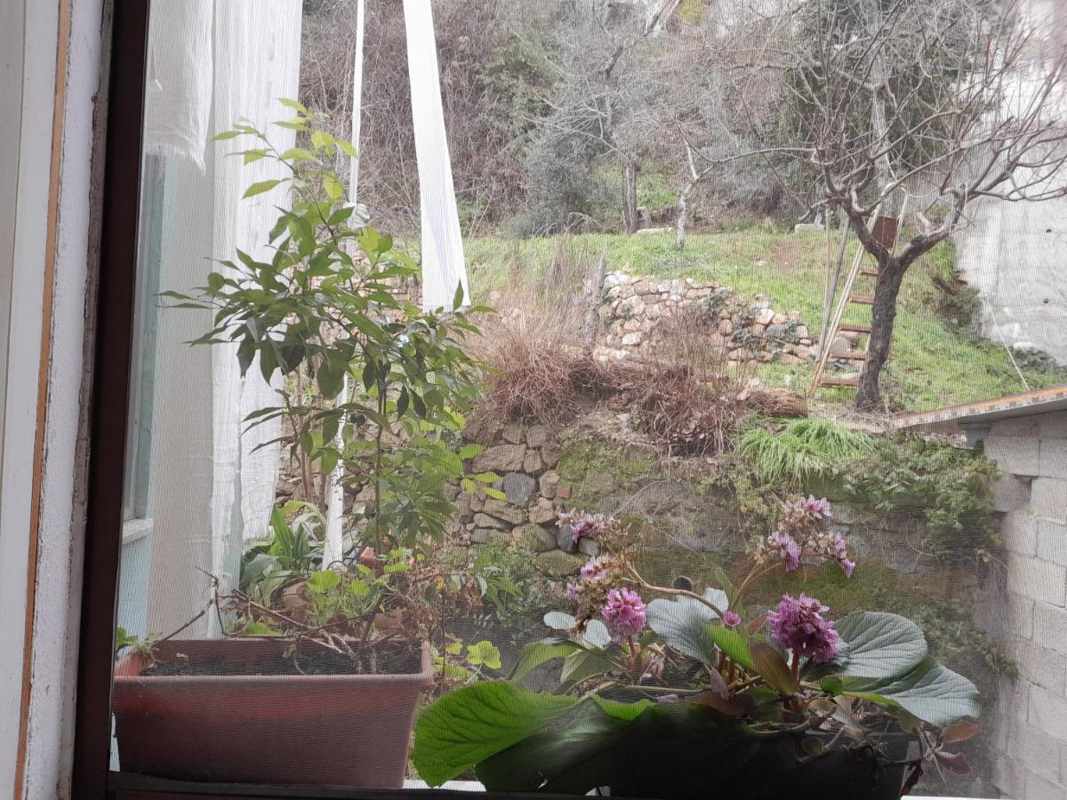Antichi Sapori Da Speranza Villa Гавои Стая снимка